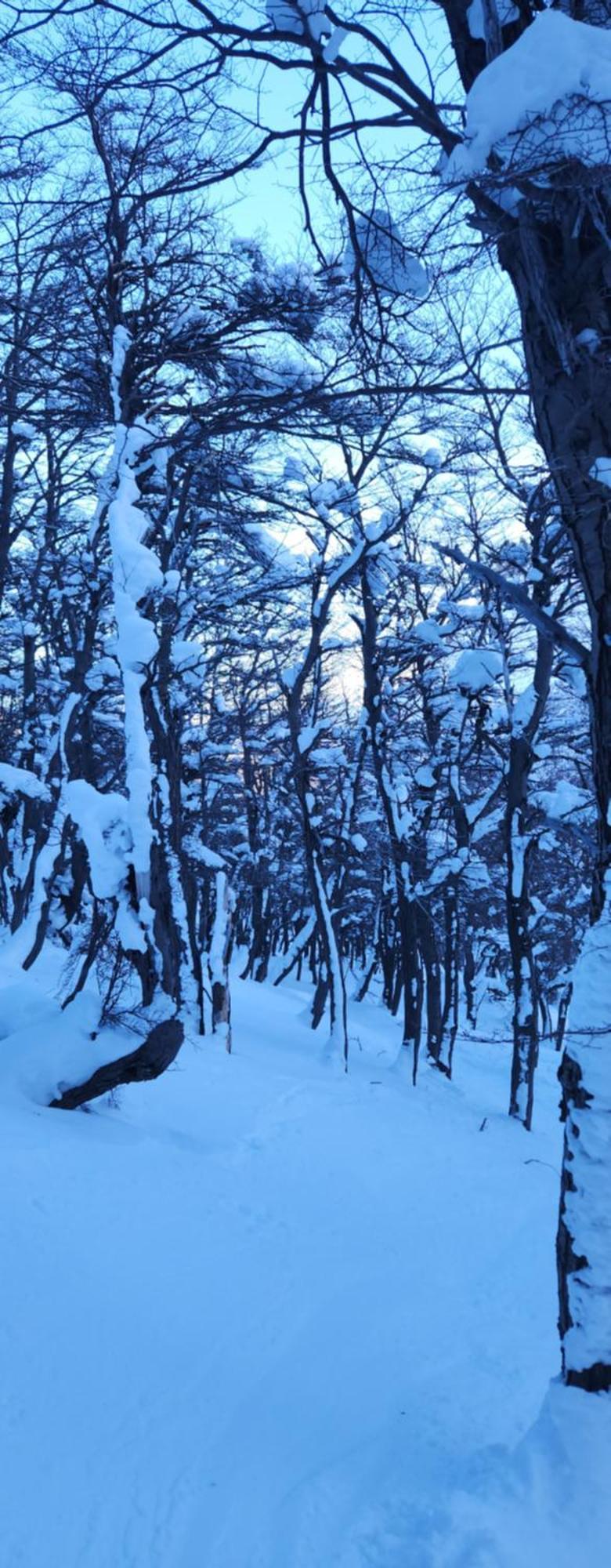 Valle Florido 1 Trevelín 외부 사진